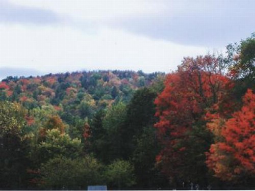 Sturbridge Country Inn - image 11