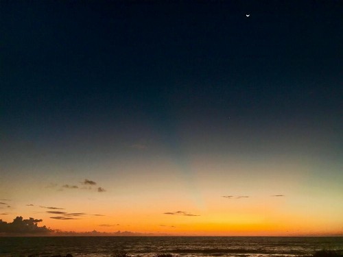 A1A Ocean Club - image 21