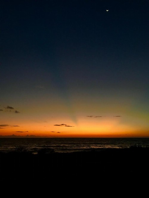 A1A Ocean Club - image 22