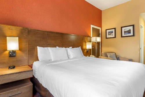 Comfort Inn Lucky Lane - image 19
