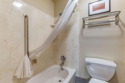 Comfort Inn Lucky Lane - image 20