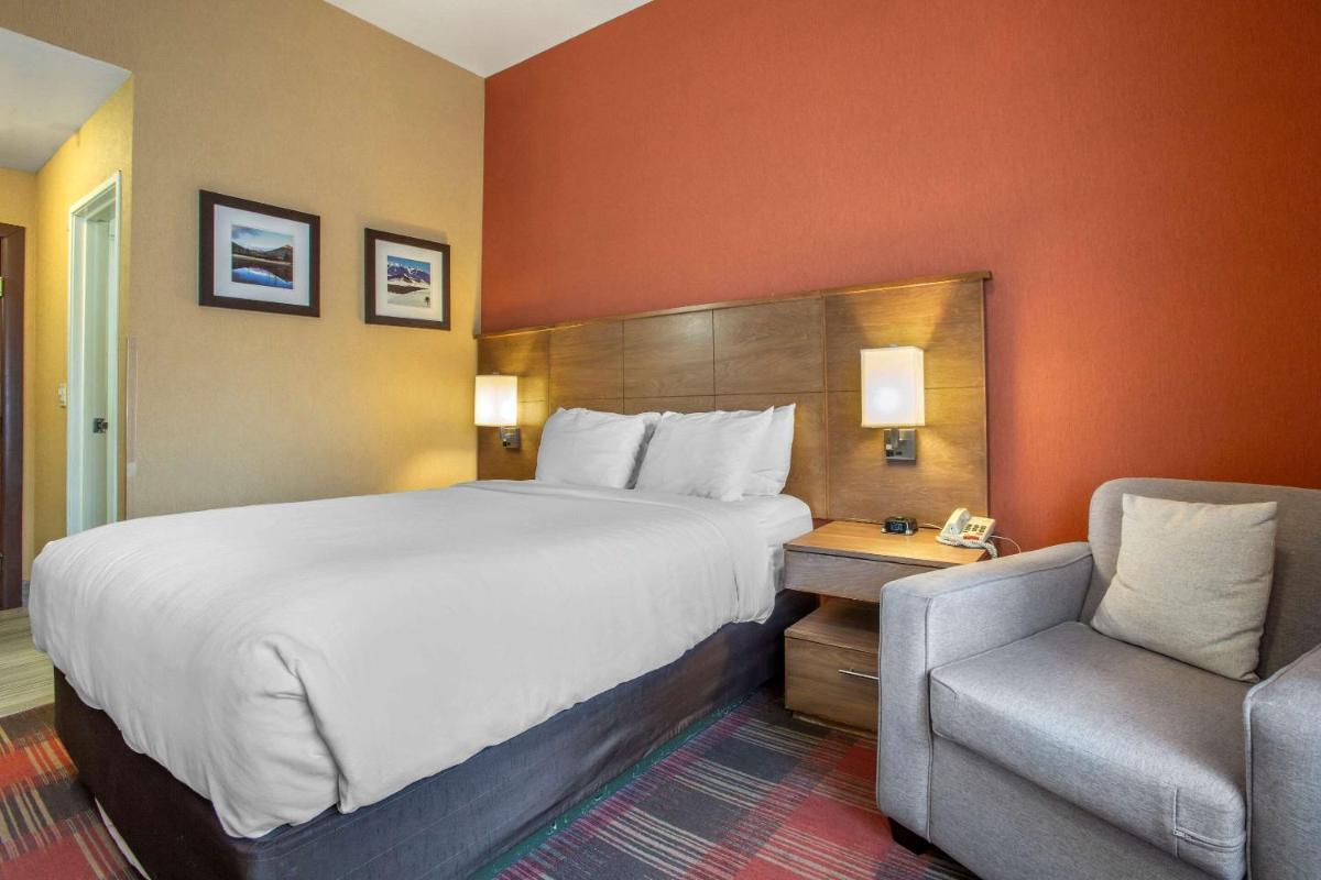 Comfort Inn Lucky Lane - image 7