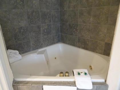 Hotel Aspen Flagstaff/ Grand Canyon InnSuites - image 6