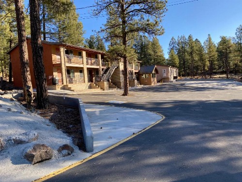 Motel In The Pines - image 15