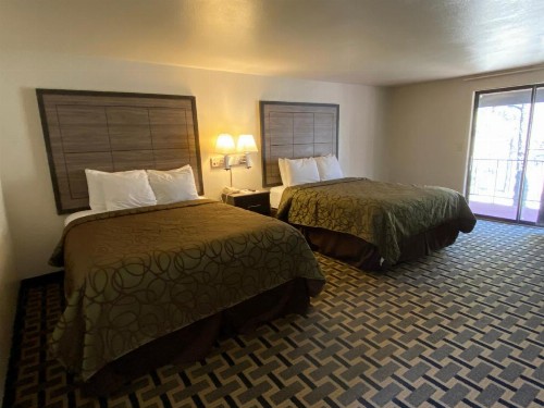 Motel In The Pines - image 21