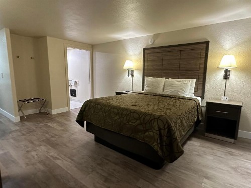 Motel In The Pines - image 22