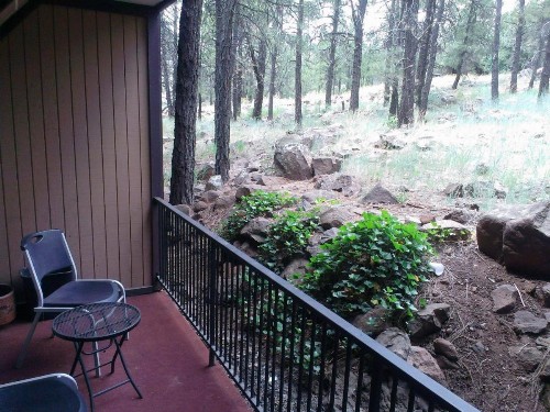 Motel In The Pines - image 23