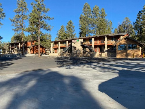 Motel In The Pines - image 27