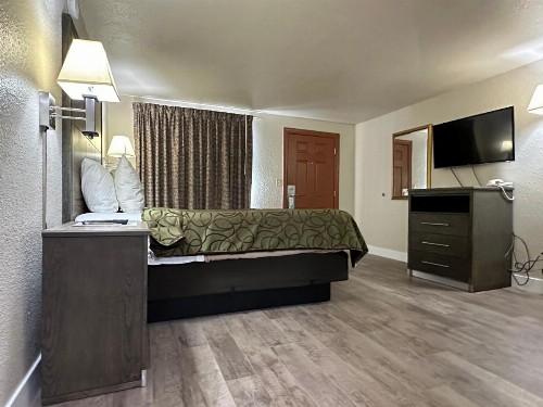 Motel In The Pines - image 28