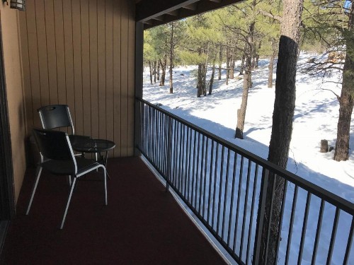 Motel In The Pines - image 30
