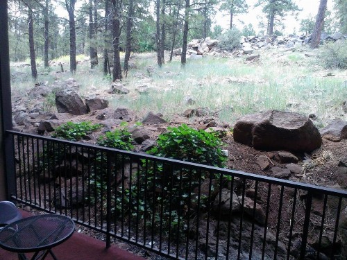 Motel In The Pines - image 34