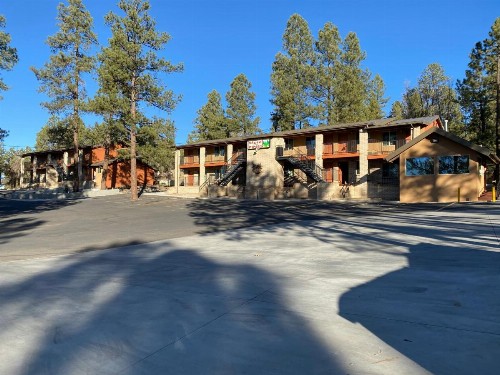Motel In The Pines - image 35