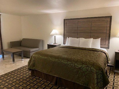 Motel In The Pines - image 37