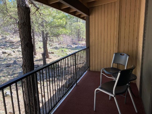 Motel In The Pines - image 47