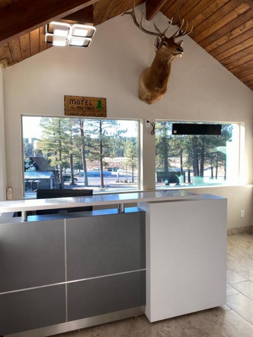 Motel In The Pines - image 49