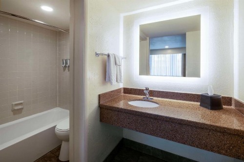 Best Western Pony Soldier Inn & Suites - image 24