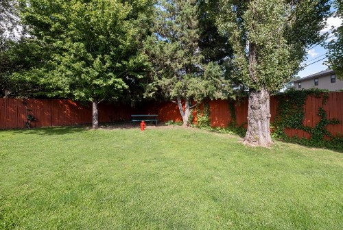 Best Western Pony Soldier Inn & Suites - image 9