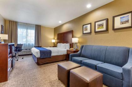 Comfort Inn I-17 & I-40 Flagstaff - image 10