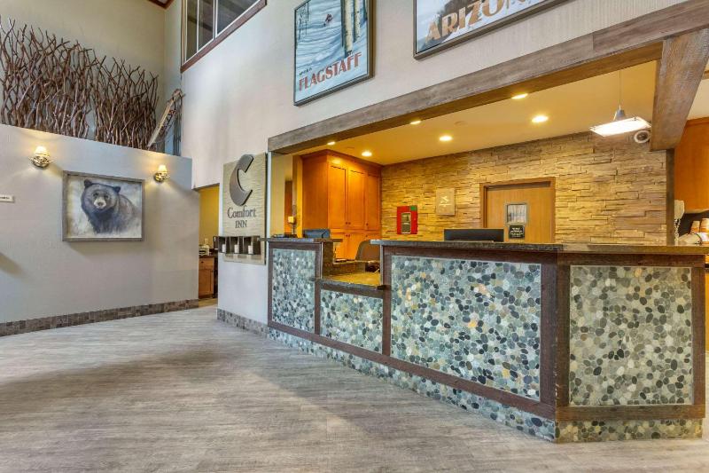 Comfort Inn I-17 & I-40 Flagstaff - image 5