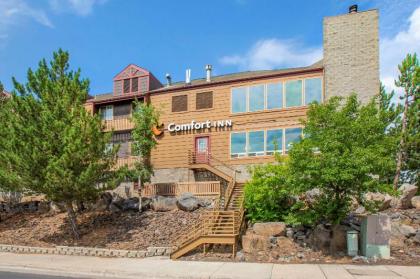 Comfort Inn I-17 & I-40 Flagstaff - image 7
