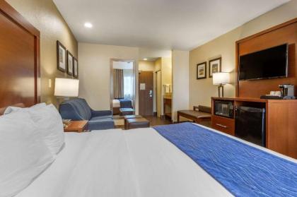 Comfort Inn I-17 & I-40 Flagstaff - image 9