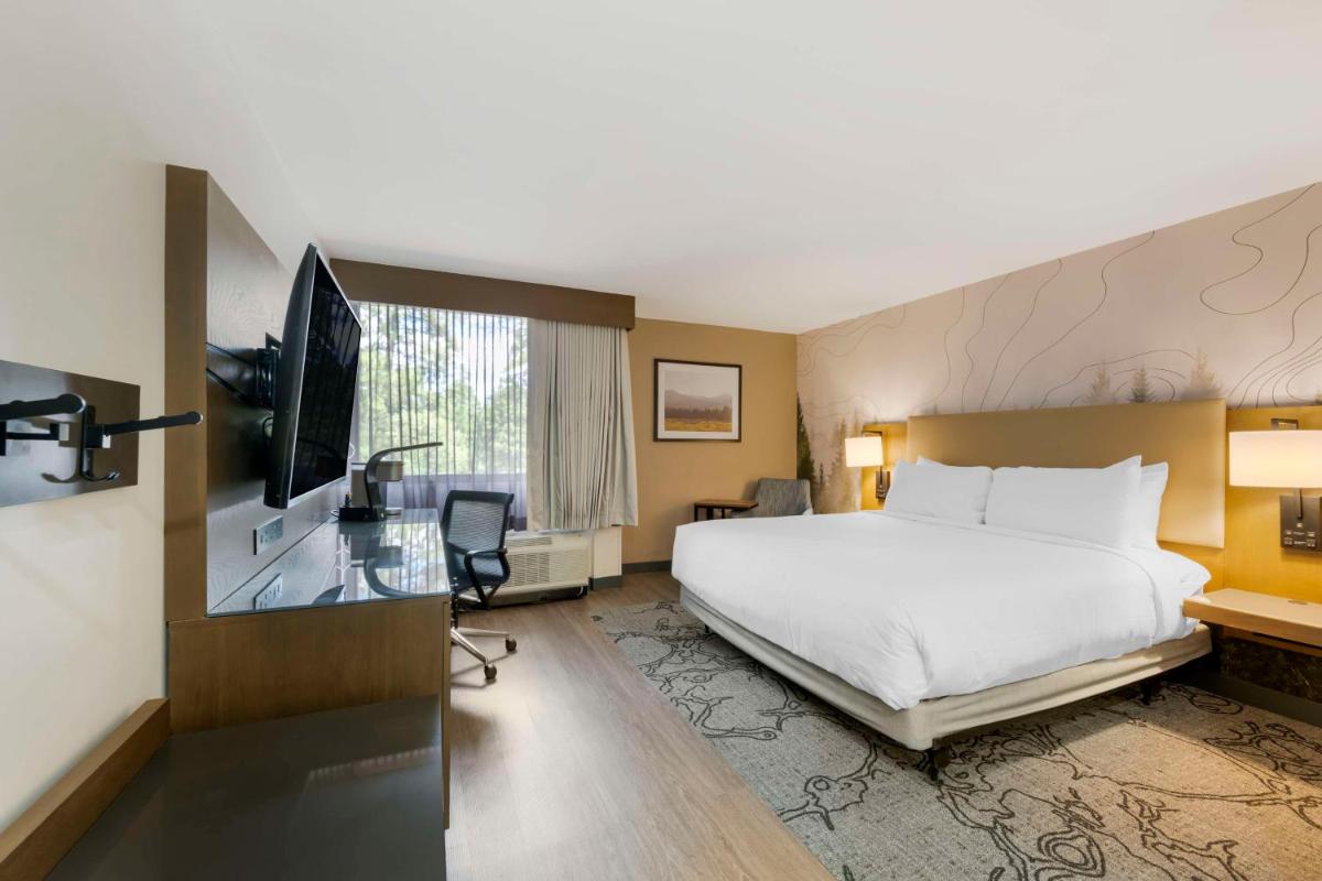 Aiden by Best Western Flagstaff - image 3