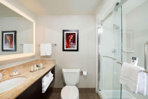 DoubleTree by Hilton Hotel Flagstaff - image 45