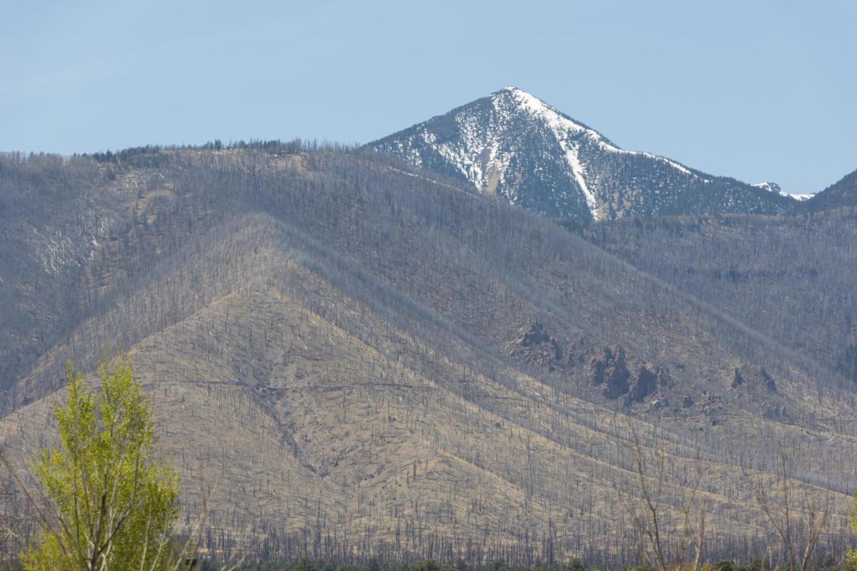 Mountain View Lodge - Grand Canyon - image 7