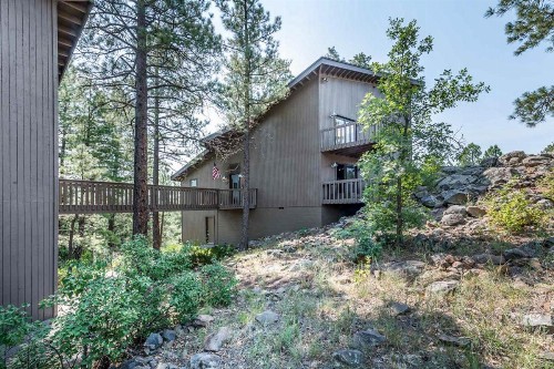 The Treehouse - image 10