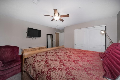The Pines - image 3