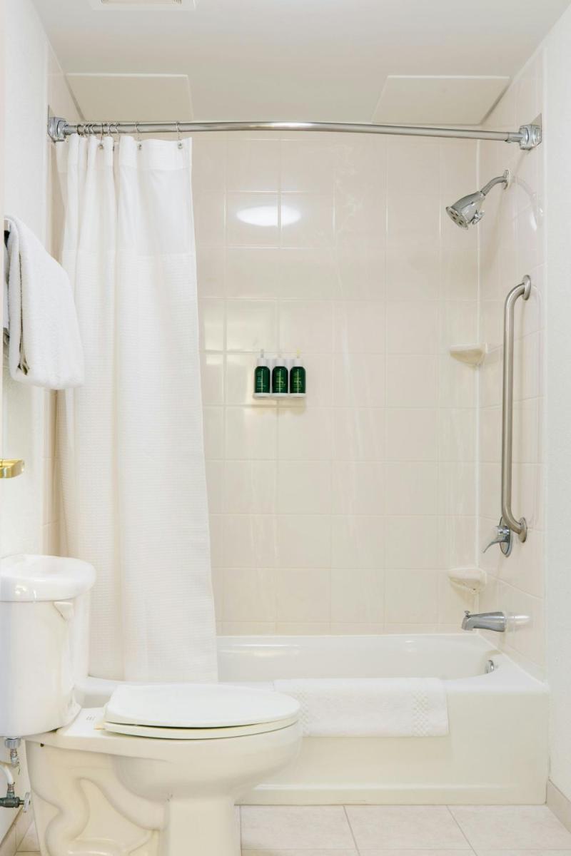 SpringHill Suites Florence - image 7
