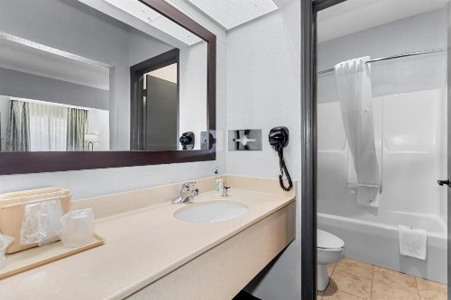 Quality Inn & Suites Civic Center - image 2