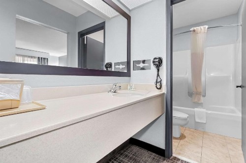 Quality Inn & Suites Civic Center - image 43