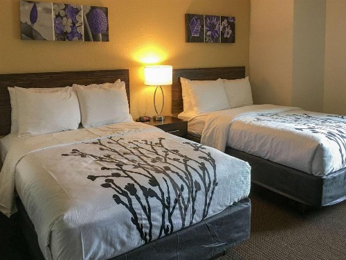 Sleep Inn Florence - image 14