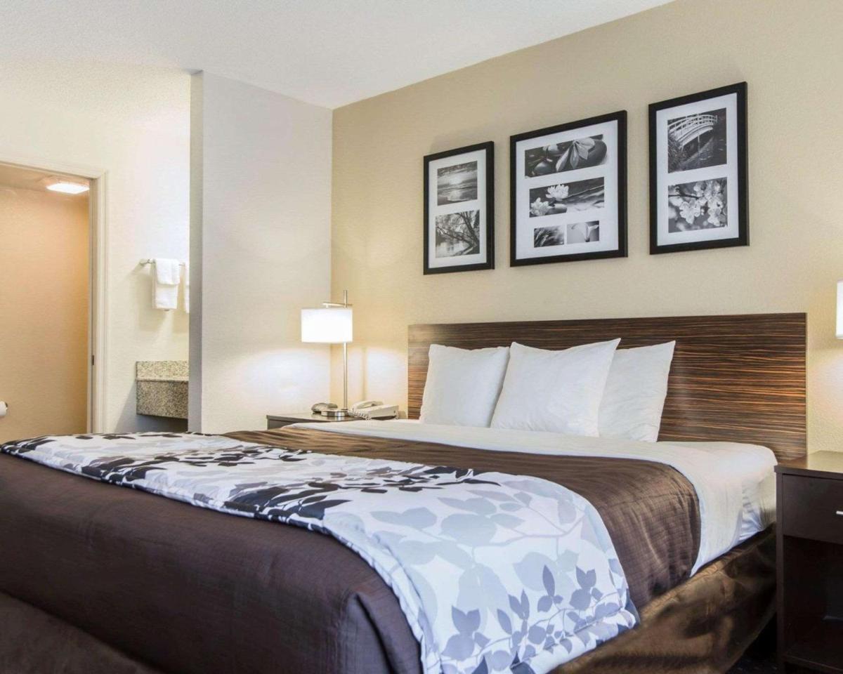 Sleep Inn Florence - image 6