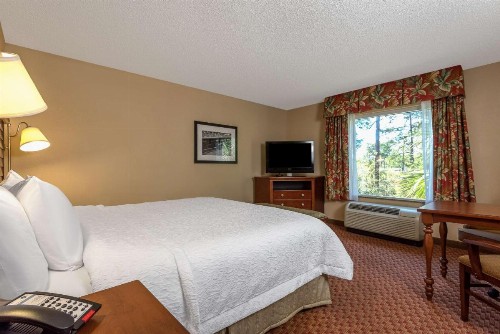 Hampton Inn & Suites Florence-North-I-95 - image 31