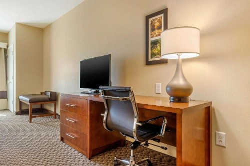 Comfort Inn & Suites - image 12