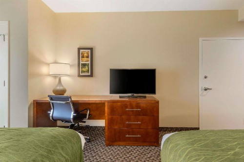 Comfort Inn & Suites - image 14