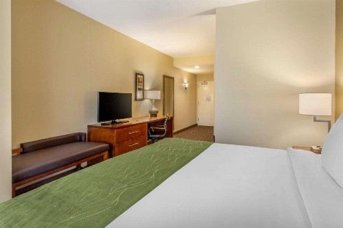 Comfort Inn & Suites - image 16