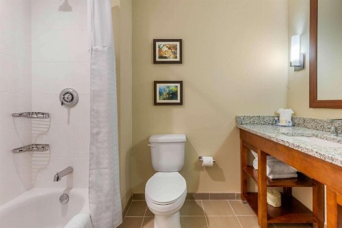 Comfort Inn & Suites - image 18