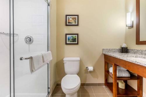 Comfort Inn & Suites - image 21