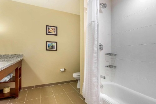 Comfort Inn & Suites - image 22