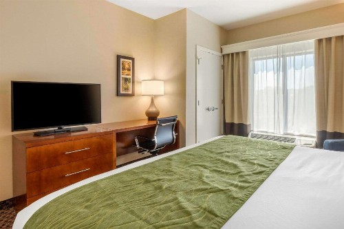 Comfort Inn & Suites - image 29