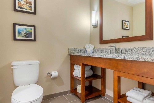 Comfort Inn & Suites - image 34