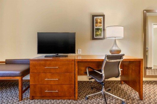 Comfort Inn & Suites - image 4
