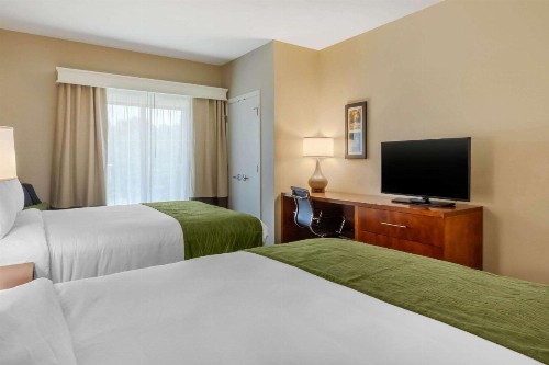 Comfort Inn & Suites - image 5