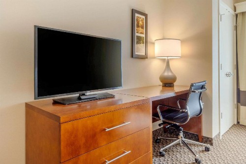 Comfort Inn & Suites - image 9