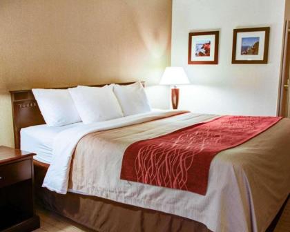 Quality Inn Florence - image 6
