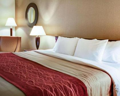 Quality Inn Florence - image 9