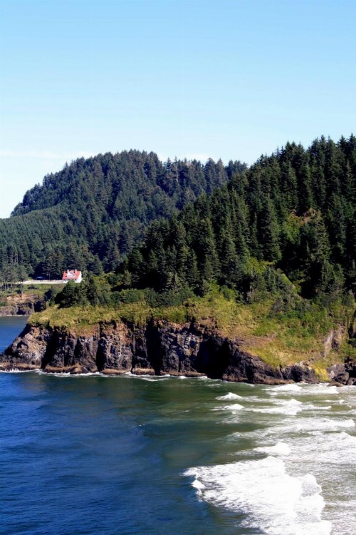 Lighthouse Inn - image 14